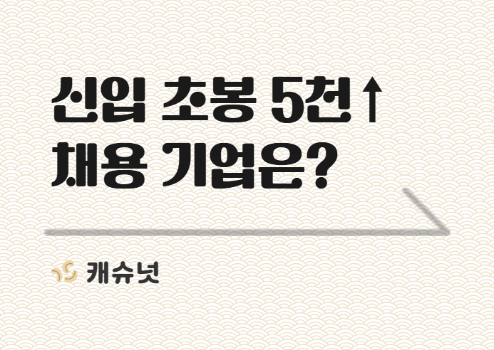 신입 초봉 5천 ↑ 지금 채용 중인 ㄷㅇㅅㄹㅅㅈ | 취준생 뉴스레터 캐슈넛 